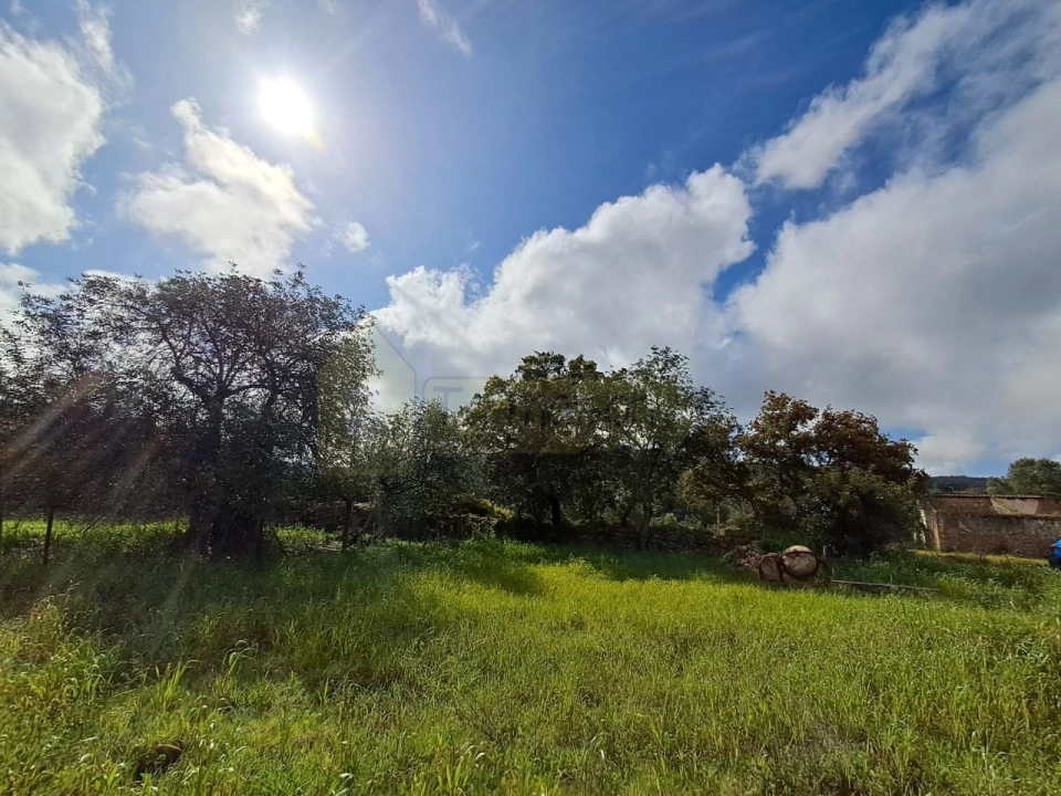 Terreno para Venda em Santa Barbara de Nexe Foto 4