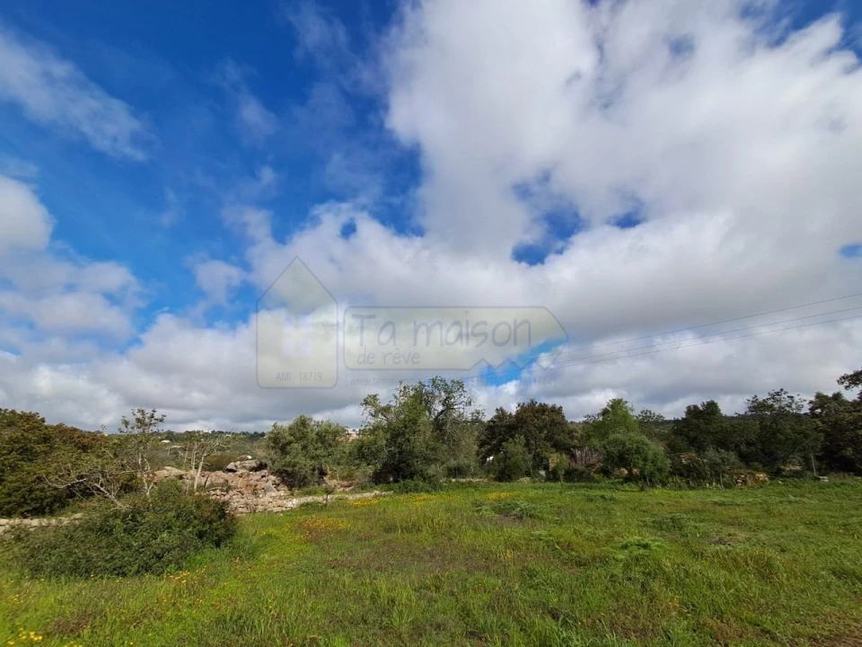 Terreno para Venda em Santa Barbara de Nexe Foto 5