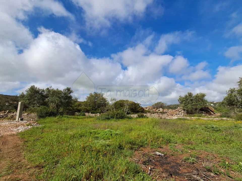 Terreno para Venda em Santa Barbara de Nexe Foto 7