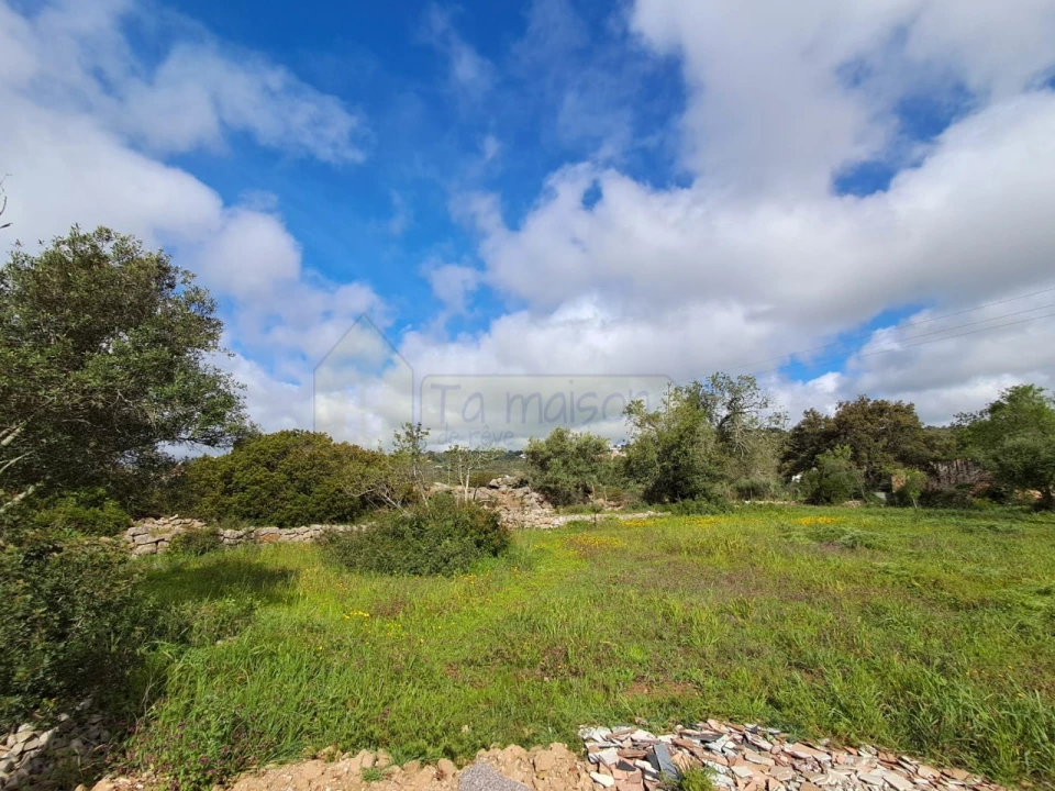 Terreno para Venda em Santa Barbara de Nexe Foto 8