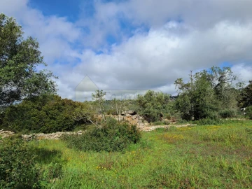 Terreno para Venda em Santa Barbara de Nexe