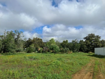 Terreno para Venda em Santa Barbara de Nexe