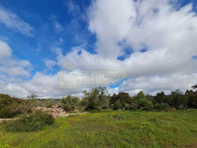 Terreno para Venda em Santa Barbara de Nexe Foto 5