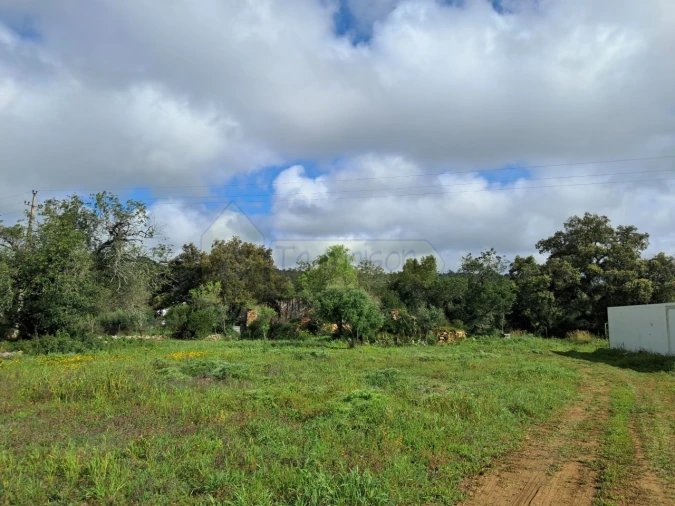 Terreno para Venda em Santa Barbara de Nexe Foto 6