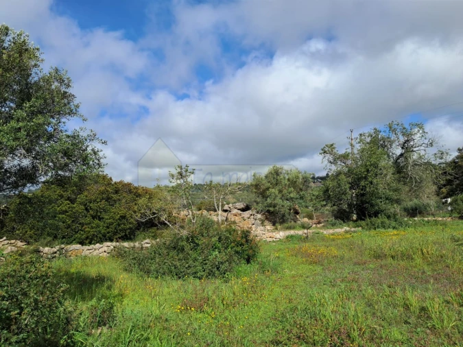 Terreno para Venda em Santa Barbara de Nexe Foto 9