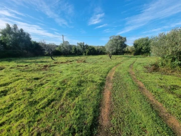 Terreno para Venda em Loule (São Clemente)
