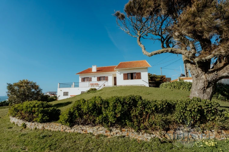 Terreno para Venda em Santo Isidoro Foto 9