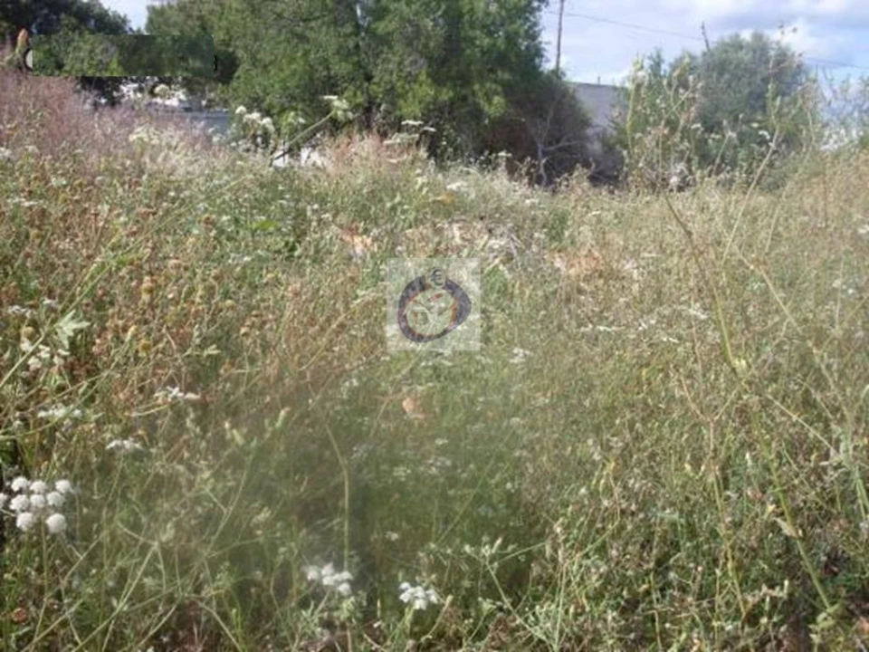 Terreno para Venda em Moncarapacho e Fuseta Foto 3