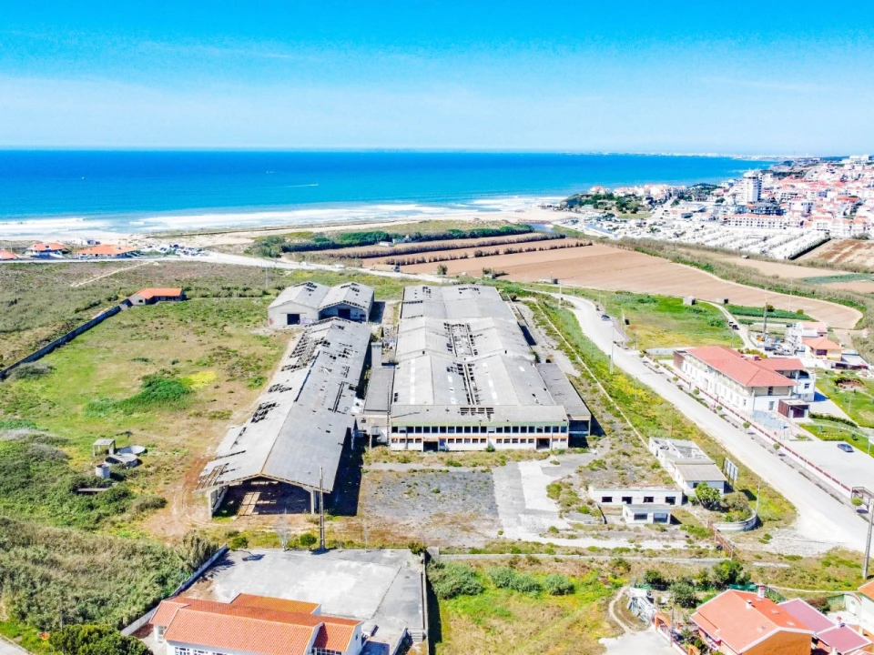 Terreno para Venda em Lourinhã e Atalaia Foto 3