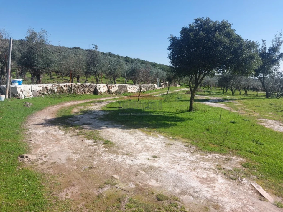 Terreno Agricola ou Rústico para Venda em Nossa Senhora da Conceição e São Bartolomeu Foto 2