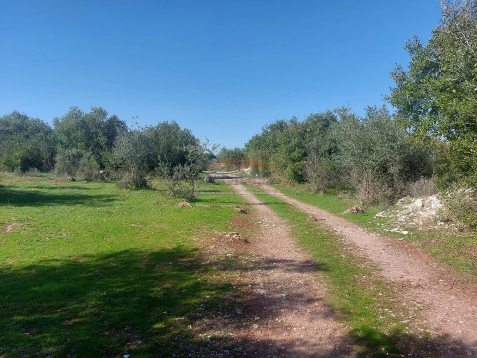 Terreno Agricola ou Rústico para Venda em Nossa Senhora da Conceição e São Bartolomeu Foto 3