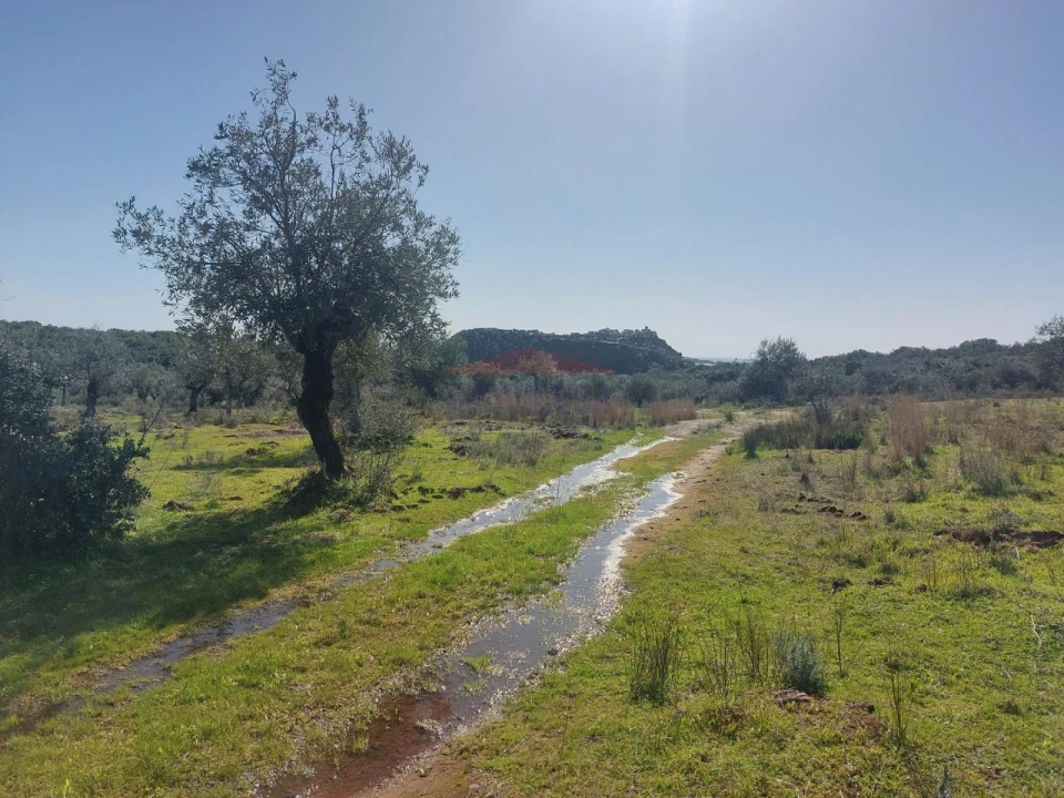 Terreno Agricola ou Rústico para Venda em Nossa Senhora da Conceição e São Bartolomeu Foto 8