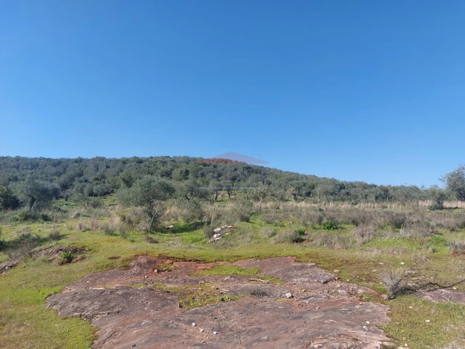 Terreno Agricola ou Rústico para Venda em Nossa Senhora da Conceição e São Bartolomeu Foto 9