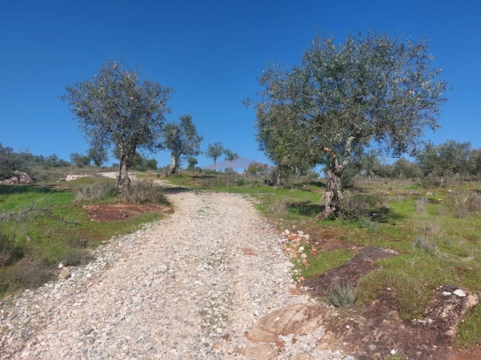 Terreno Agricola ou Rústico para Venda em Nossa Senhora da Conceição e São Bartolomeu Foto 1