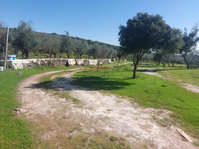 Terreno Agricola ou Rústico para Venda em Nossa Senhora da Conceição e São Bartolomeu Foto 2