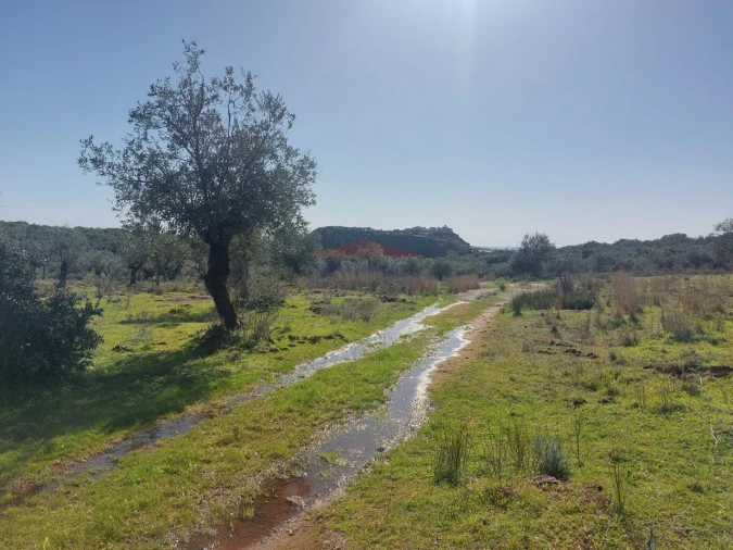 Terreno Agricola ou Rústico para Venda em Nossa Senhora da Conceição e São Bartolomeu Foto 8