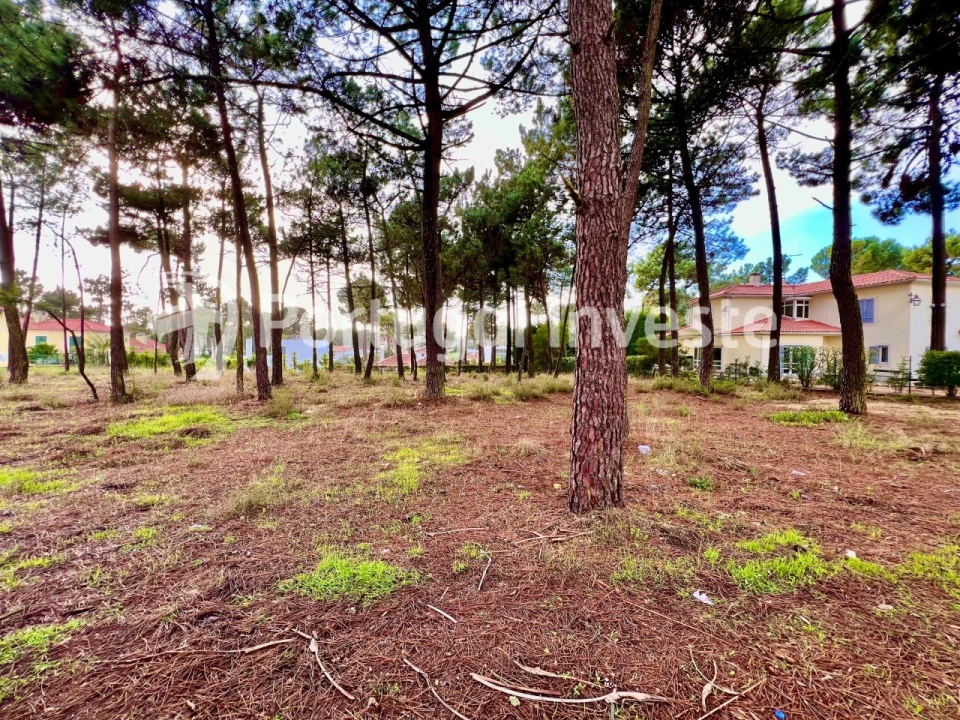 Terreno para Venda em Charneca de Caparica e Sobreda Foto 12