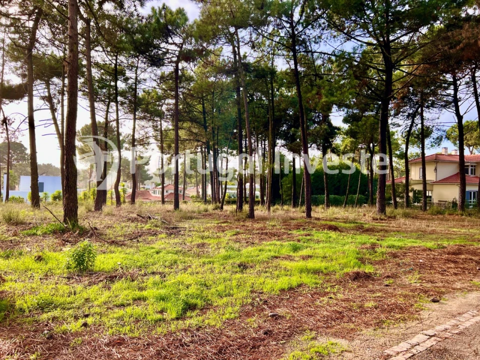 Terreno para Venda em Charneca de Caparica e Sobreda Foto 4