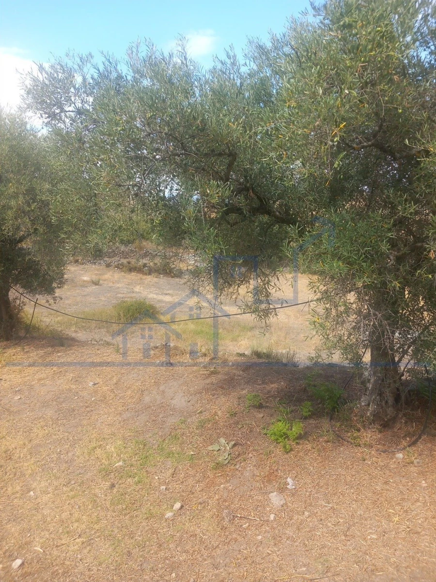 Moradia T3 para Venda em Adeganha e Cardanha Foto 3