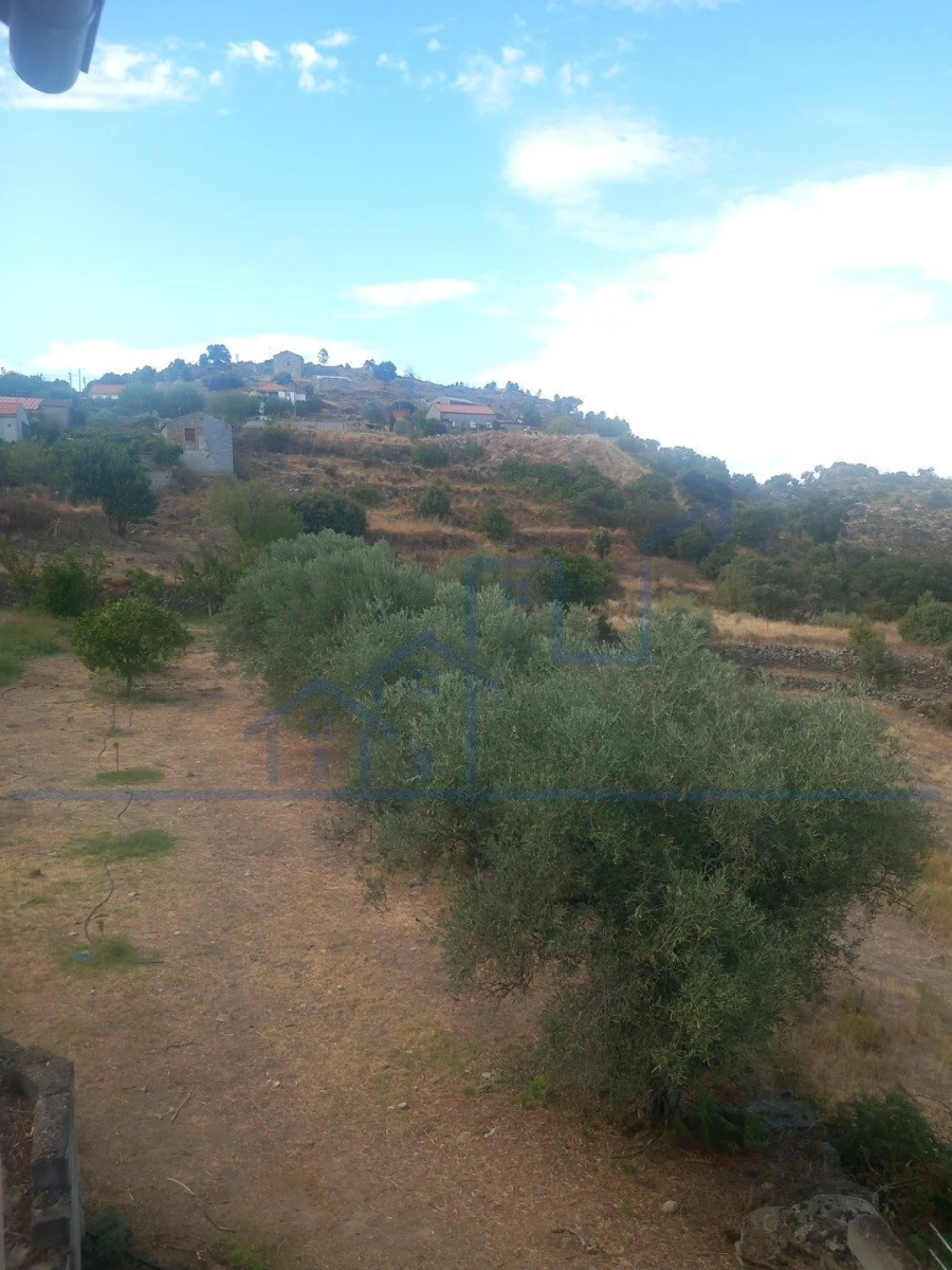 Moradia T3 para Venda em Adeganha e Cardanha Foto 4