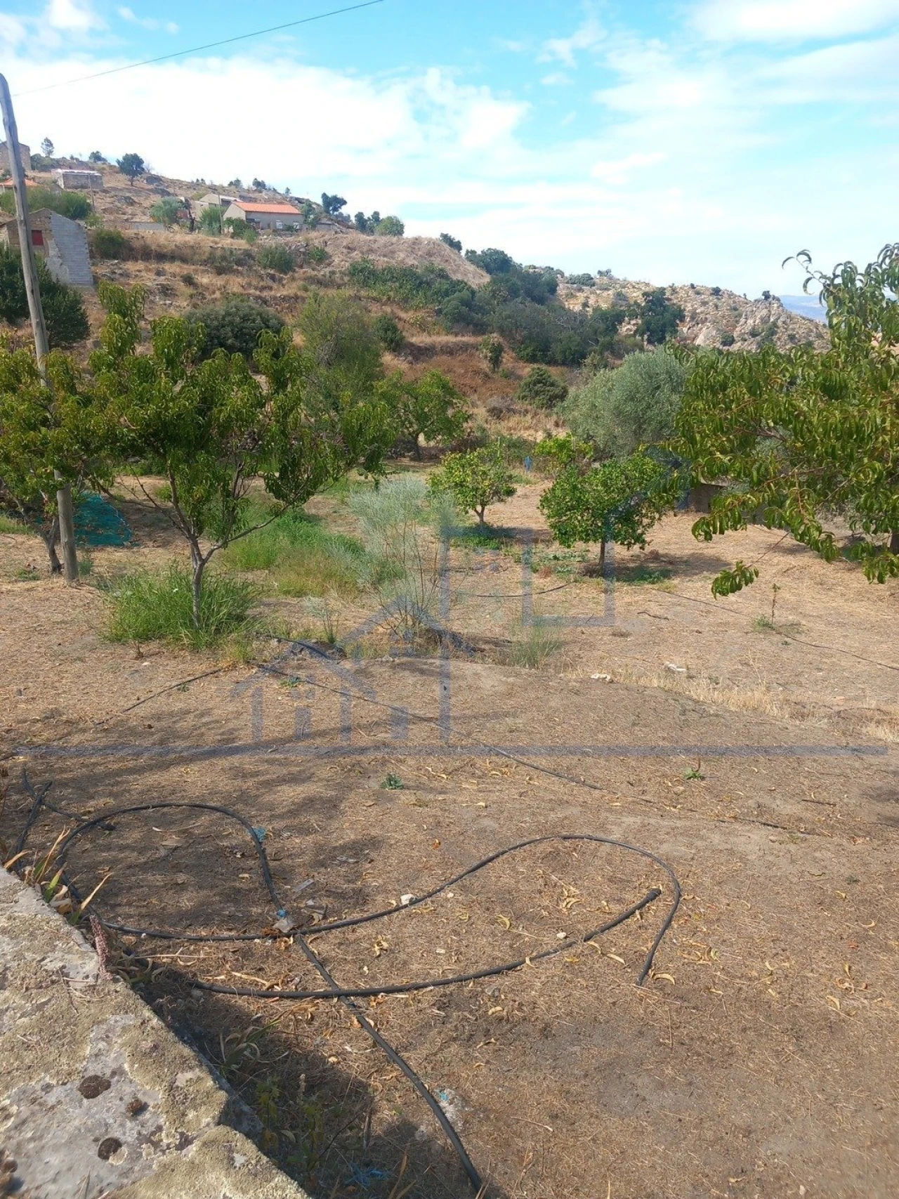 Moradia T3 para Venda em Adeganha e Cardanha Foto 2