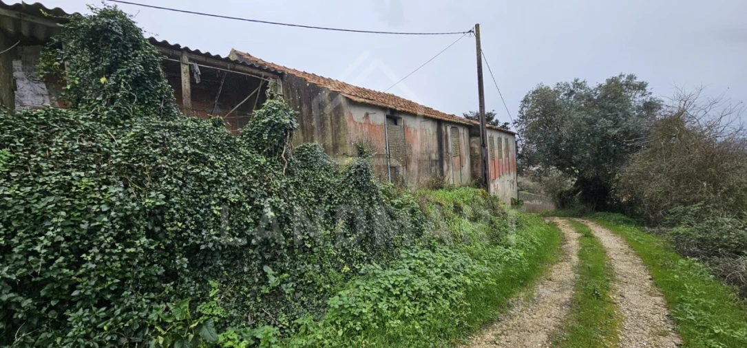Terreno para Venda em Benedita Foto 3