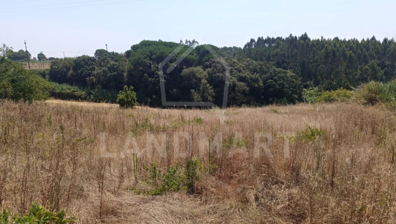 Terreno para Venda em Alvorninha Foto 2