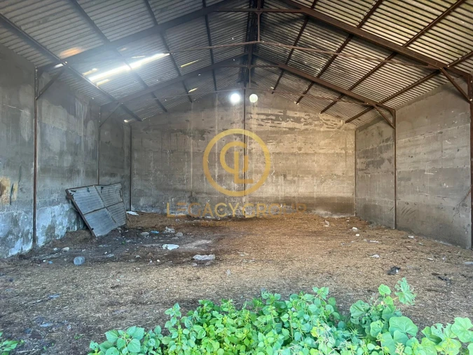 Armazém para Venda em Castro Verde e Casével Foto 12