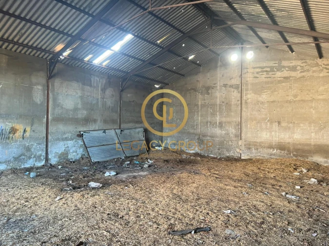 Armazém para Venda em Castro Verde e Casével Foto 11