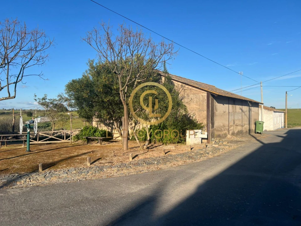 Armazém para Venda em Castro Verde e Casével Foto 10