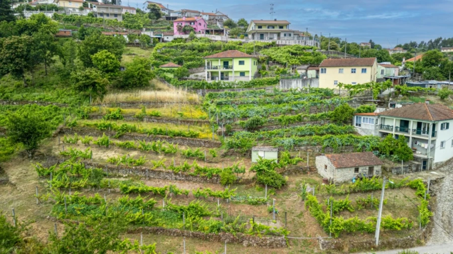 Terreno para Venda em Salvador e Santo Aleixo de Além-Tâmega Foto 2