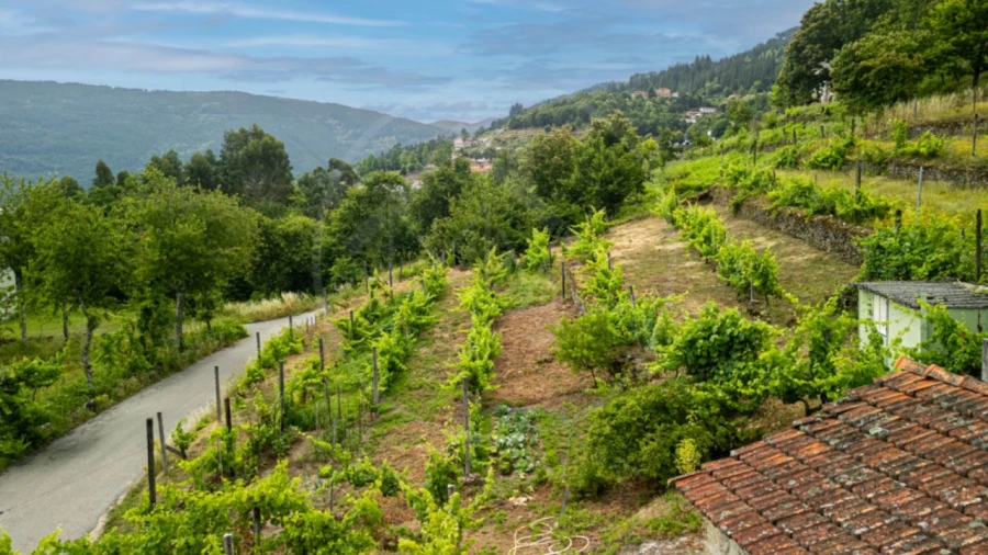 Terreno para Venda em Salvador e Santo Aleixo de Além-Tâmega Foto 5