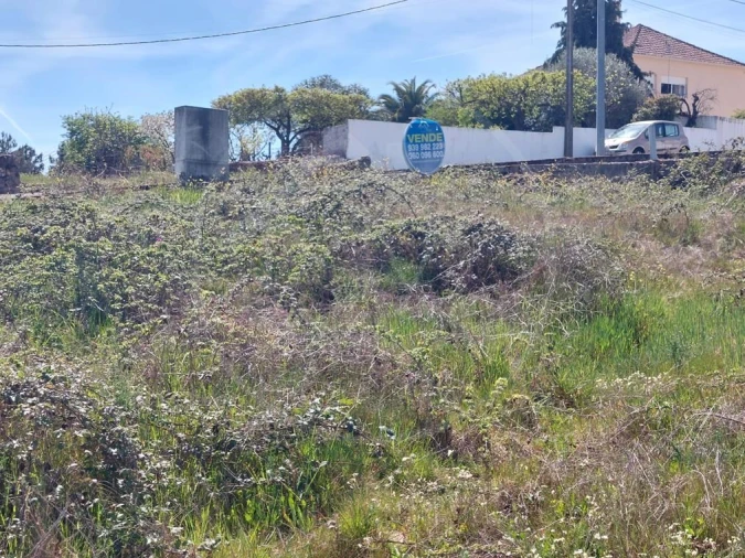 Terreno para Venda em Sabrosa Foto 2