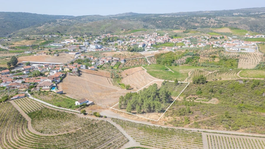 Terreno para Venda em Murça