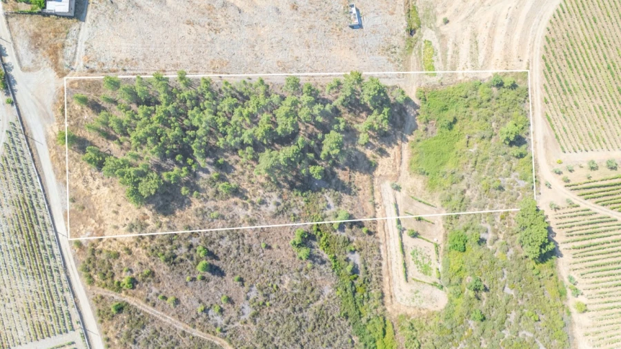 Terreno para Venda em Murça Foto 2