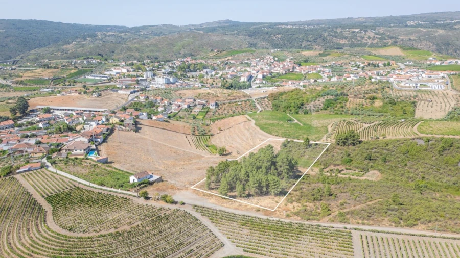 Terreno para Venda em Murça