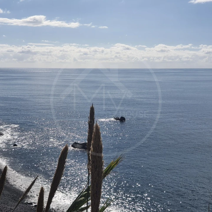 Terreno para Venda em Arco da Calheta Foto 2
