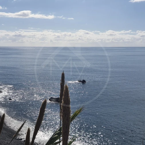 Terreno para Venda em Arco da Calheta Foto 2
