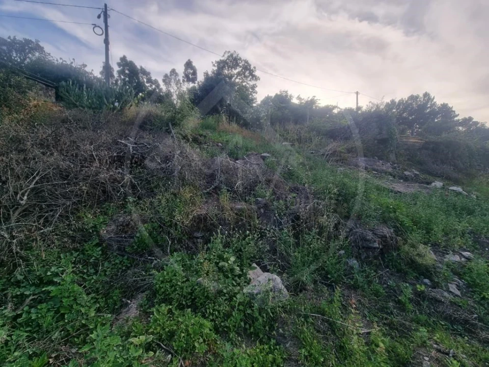 Terreno para Venda em Salvador e Santo Aleixo de Além-Tâmega Foto 5