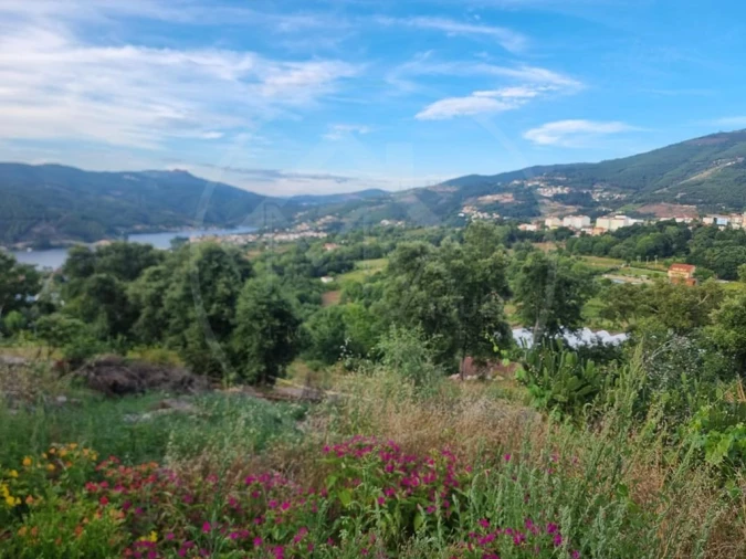 Terreno para Venda em Salvador e Santo Aleixo de Além-Tâmega Foto 1