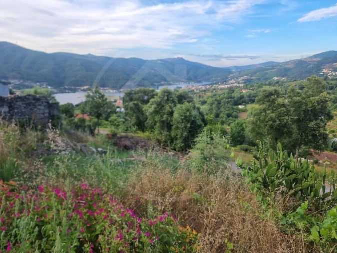 Terreno para Venda em Salvador e Santo Aleixo de Além-Tâmega Foto 3