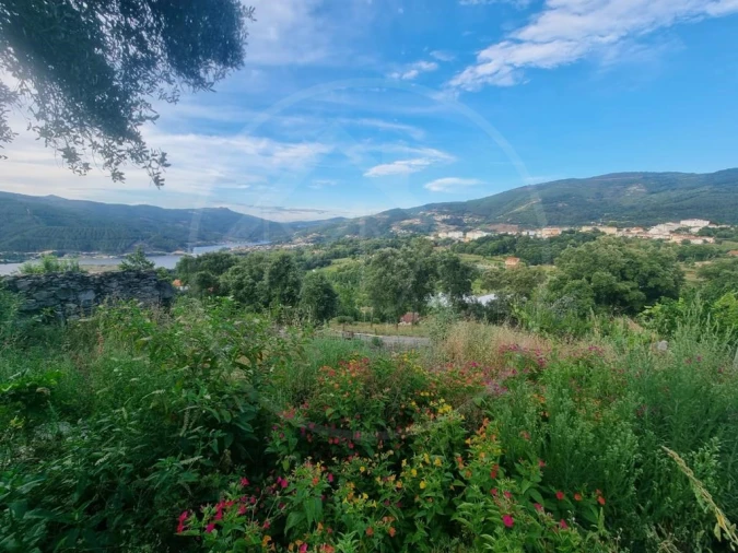 Terreno para Venda em Salvador e Santo Aleixo de Além-Tâmega Foto 4