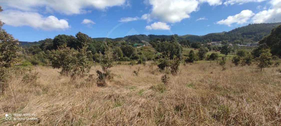 Terreno para Venda em Vila Pouca de Aguiar