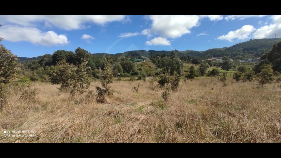 Terreno para Venda em Vila Pouca de Aguiar