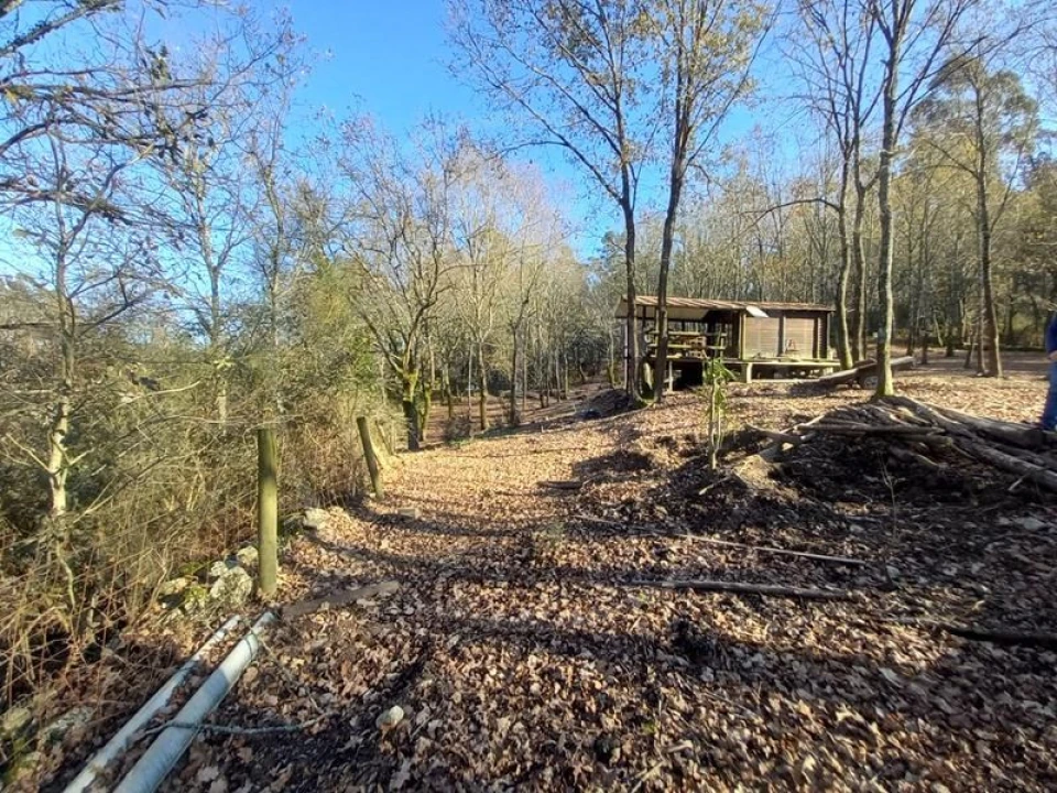 Terreno para Venda em Entre Ambos-Os-Rios, Ermida e Germil Foto 12