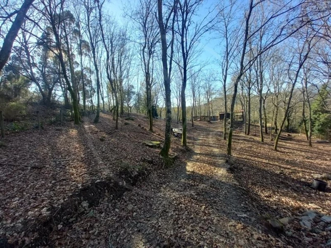Terreno para Venda em Entre Ambos-Os-Rios, Ermida e Germil
