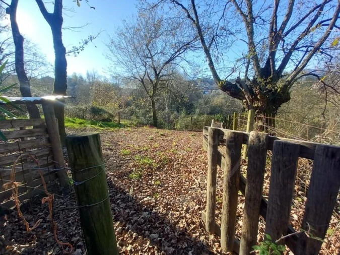Terreno para Venda em Entre Ambos-Os-Rios, Ermida e Germil Foto 14