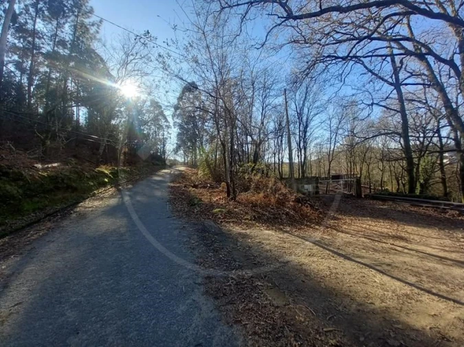 Terreno para Venda em Entre Ambos-Os-Rios, Ermida e Germil Foto 21