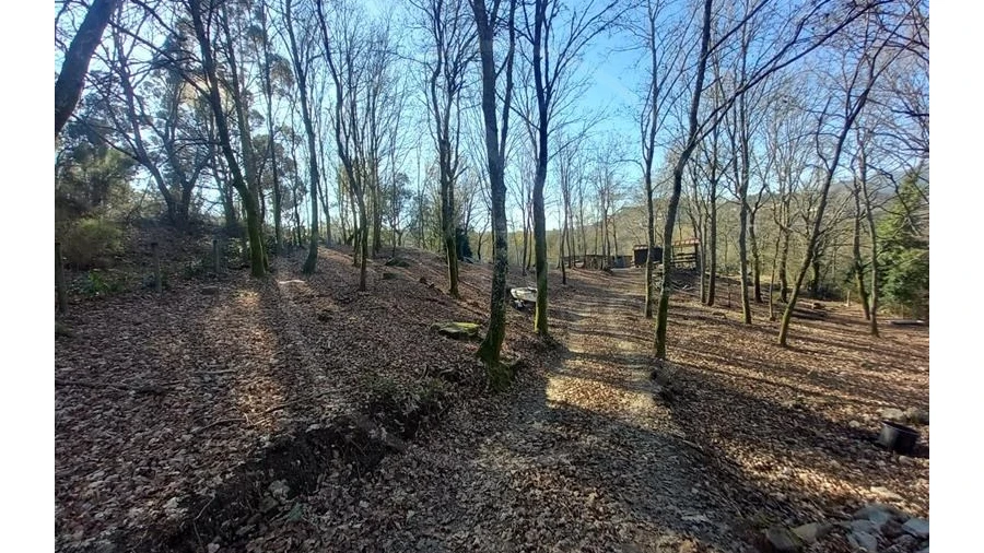 Terreno para Venda em Entre Ambos-Os-Rios, Ermida e Germil