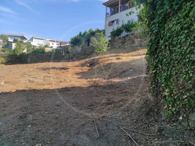 Terreno para Venda em Mondim de Basto Foto 3